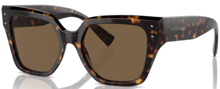 サングラス DOLCE & GABBANA Woman Sunglasses Brown 0DG4459 502/73 $_12.JPG?set_id=880000500F