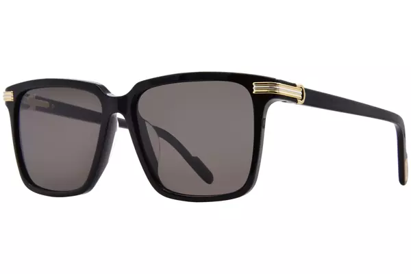 CARTIER シオメトリックフレムサンクラス CT0434S 004 CT0434S Sunglasses - Cartier Authorized Retailer
