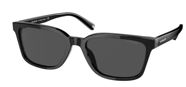Coach C6196 HC8328U Sunglasses Men's Rectangle Shape | EyeSpecs.com