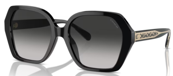 Coach factory outlet online sunglasses shop