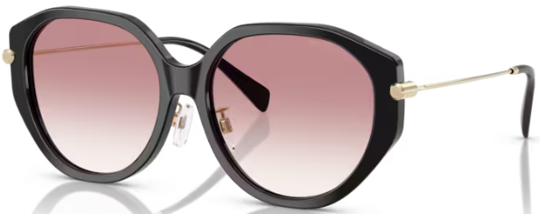 Michael Kors シナンオハルフレムサンクラス MK2248D 30058D Michael Kors Jinan MK2248D 30058D Sunglasses Women's Black
