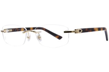 【送料,関税込】Cartier メガネ CT0048O Cartier CT 0048O | Mott Optical Group