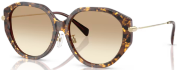 Michael Kors シナンオハルフレムサンクラス MK2248D 30058D Michael Kors Jinan MK2248D 30058D Sunglasses Women's Black