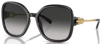 【初売り】 Co. & Tiffany TF4202U Black/Grey Women's Sunglasses 80013C クラブ