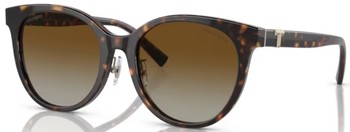 Tiffany & Co. TF4209D 8055/1 Sunglasses Women's Black/Blue