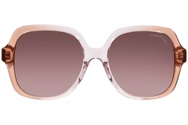 ブロンズ - Havana - 100% Centric サングラス HC8395F CR962 Sunglasses - Coach Authorized Retailer