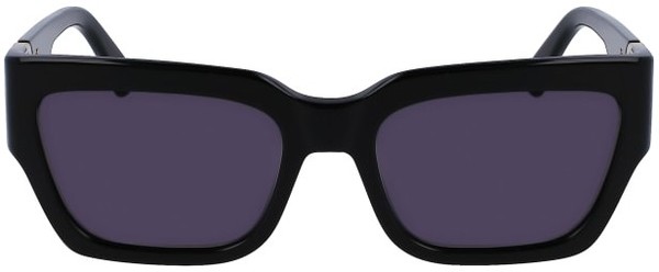 サングラス LONGCHAMP Woman Sunglasses Black LO733S 001 Eyewear | Longchamp US