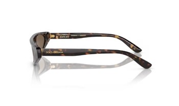 Dolce & Gabbana DG4442 502/73 Sunglasses Women's Havana/Dark