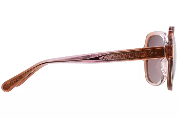 ブロンズ - Havana - 100% Centric サングラス HC8395F CR962 Sunglasses - Coach Authorized Retailer