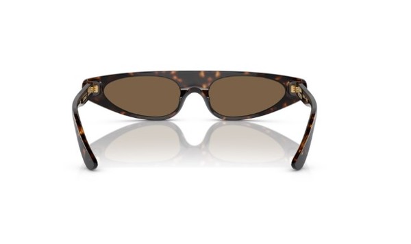 サングラス DOLCE & GABBANA Woman Sunglasses Brown 0DG4459 502/73 dolce-and-gabbana-dg4442-502-