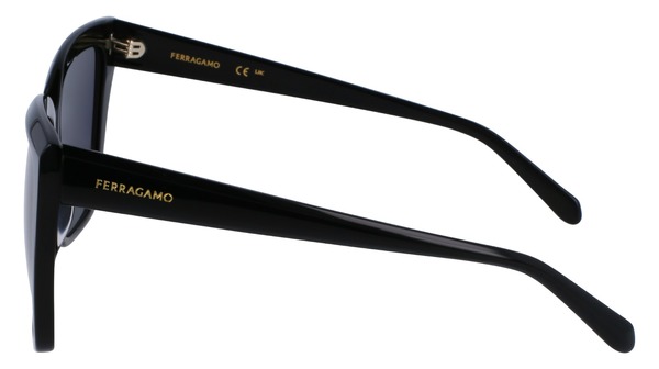 Salvatore Ferragamo SF1102S 001 Sunglasses Women's Black