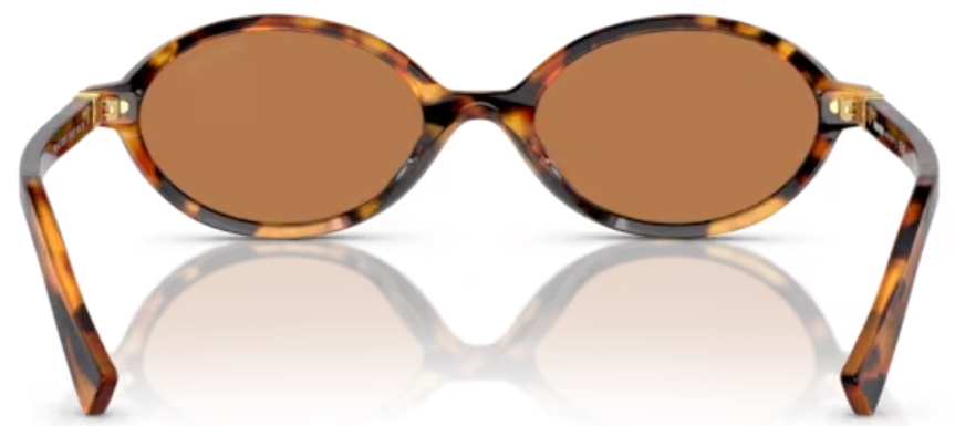 Miu Miu MU 01XV Optical Frame 19P1O1 Tortoise - eye-oo.com
