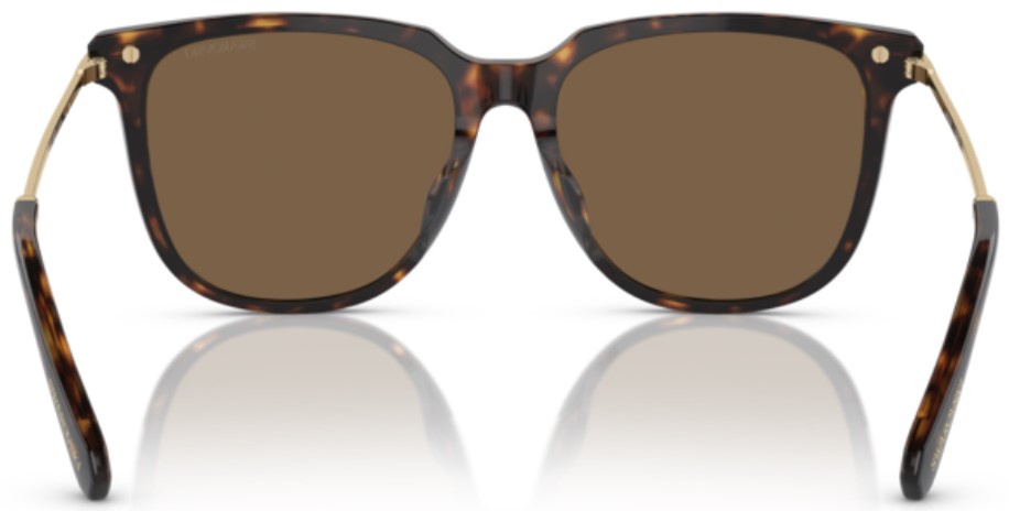 サングラス SWAROVSKI Woman Sunglasses Brown 0SK6015D 100273 Swarovski SK6015D 100273 Sunglasses Women's Dark Havana