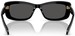 Swarovski SK6008 Sunglasses Women's Oval Shape