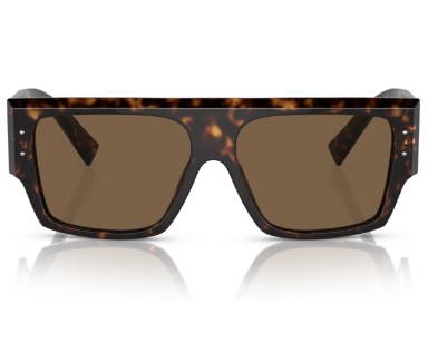 サングラス DOLCE & GABBANA Woman Sunglasses Brown 0DG4459 502/73 Dolce & Gabbana DG4459 502/73 Sunglasses Women's Havana/Dark
