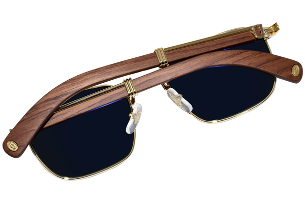 cartier ct0363s
