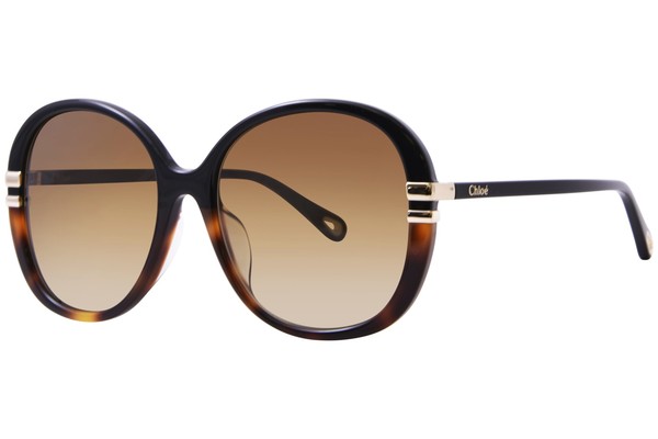 Chloe CH0207SK 003 Sunglasses Women's Black/Gold/Brown